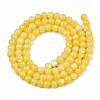 Natural Freshwater Shell Beads Strands SHEL-N003-24-B08-2