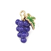 Fruit Alloy Enamel Pendants ENAM-P264-02G-G03-2