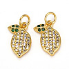 Brass Micro Pave Cubic Zirconia Charms ZIRC-L093-18G-2