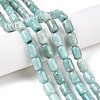 Natural Amazonite Beads Strands G-G980-36B-2