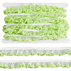 10 Yards Elastics Spandex Ribbon OCOR-CY0002-47A-6