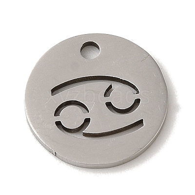 Non-Tarnish 201 Stainless Steel Charms STAS-E217-10P-05-1
