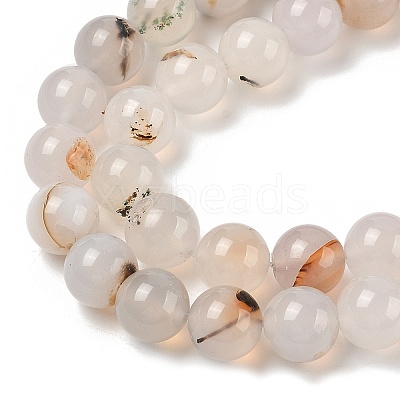 Natural Dendritic Agate Beads Strands G-A248-A07-02-1