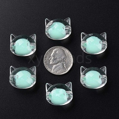 Transparent Acrylic Beads MACR-S373-115-B03-1