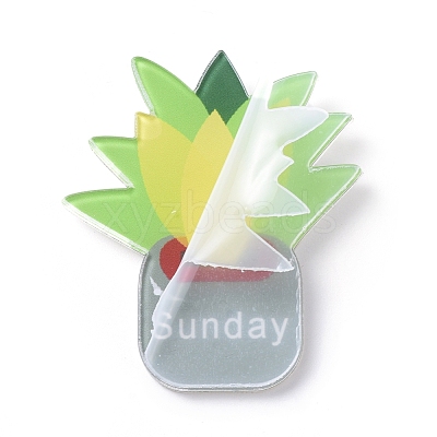 Fridge Magnets Acrylic Decorations AJEW-X0009-04-1