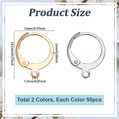 100Pcs 2 Colors 304 Stainless Steel Leverback Earring Findings STAS-ME0001-23-1