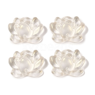 Baking Paint Glass Beads GLAA-S202-13F-1