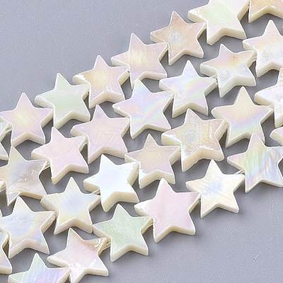 Freshwater Shell Beads Strands SHEL-N026-07A-1