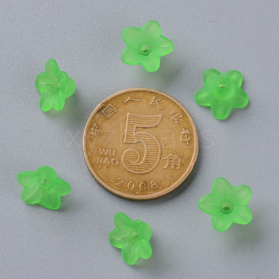 Transparent Acrylic Beads X-PL554-13-1