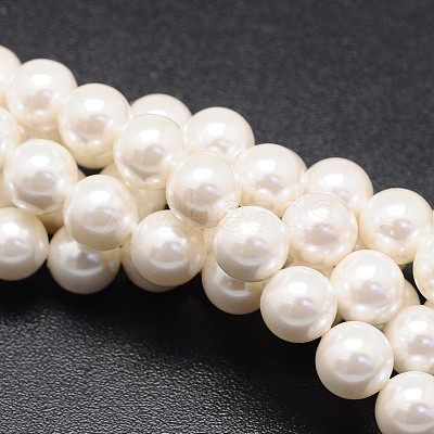 Shell Pearl Beads Strands X-BSHE-E008-6mm-12-1