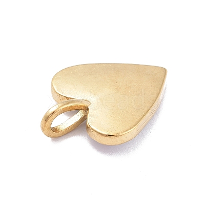 Ion Plating(IP) 304 Stainless Steel Pendants STAS-E187-13G-1
