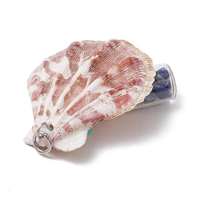 14Pcs 14 Styles Natural Scallop Shell Beads with Glass Jar Glass Bottles Stone Pendants PALLOY-JF03564-1