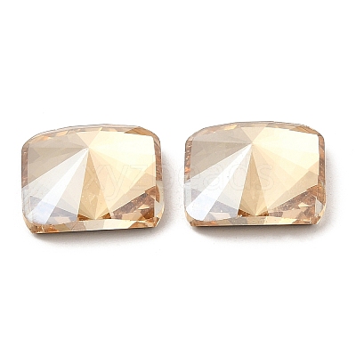 K9 Glass Rhinestone Cabochons RGLA-N002-01A-1