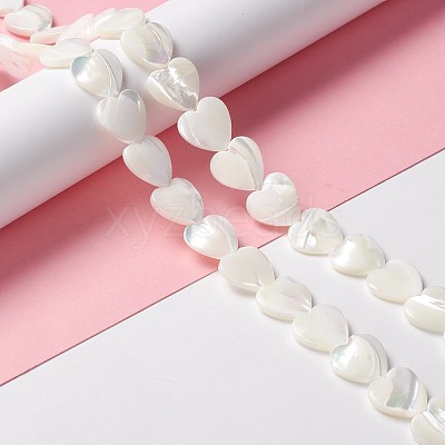 Natural Trochid Shell/Trochus Shell Beads SSHEL-O001-27D-1