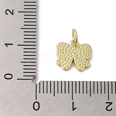 Rack Plating Brass Enamel Charms KK-B092-13G-02-1