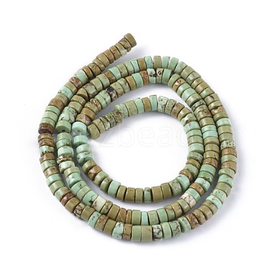 Natural Magnesite Beads Strands TURQ-L030-04A-02-1