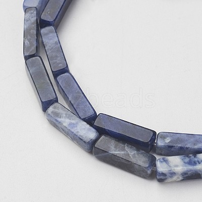 Natural Sodalite Beads Strands X-G-G968-D02-1