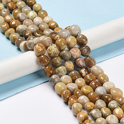 Natural Fossil Coral Beads Strands G-C038-02T-1