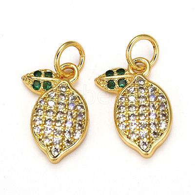 Brass Micro Pave Cubic Zirconia Charms ZIRC-L093-18G-1