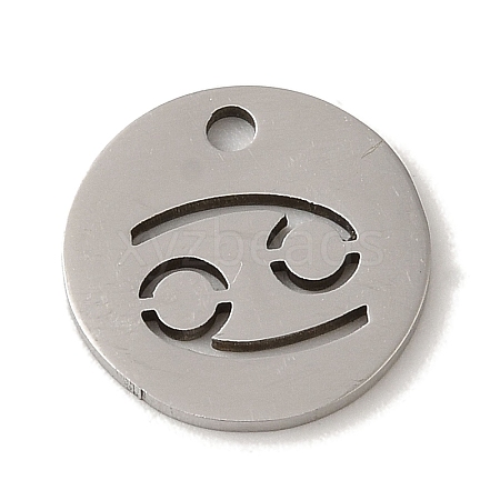 Non-Tarnish 201 Stainless Steel Charms STAS-E217-10P-05-1