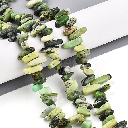 Natural Serpentine Beads Strands G-T140-62-1
