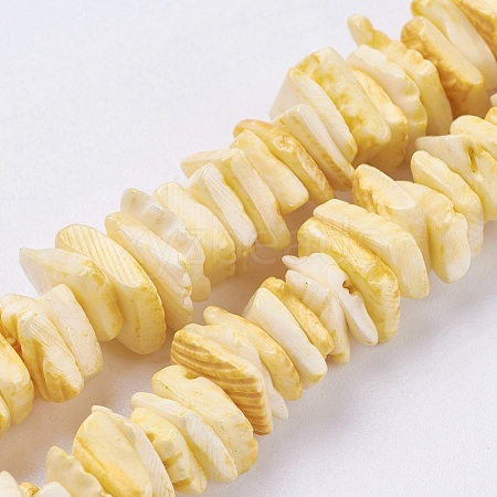 Natural Sea Shell Beads Strands X-BSHE-K012-08B-1