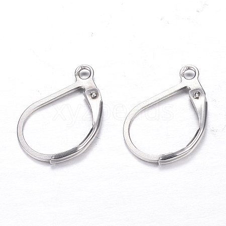 304 Stainless Steel Leverback Earring Findings X-STAS-M217-03-1