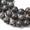 Natural Fluorescent Syenite Rock(Glow under UV Light) Beads Strands G-G789-02E-4