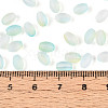 Frosted Glass Seed Beads SEED-N008-05F-4