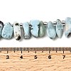 Natural Larimar Beads Strands G-Z091-A09-5