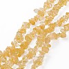 Natural Citrine Beads Strands G-L555-06-1