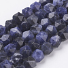 Natural Sodalite Beads Strands G-J376-65A-8mm-1