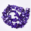 Freshwater Shell Beads Strands SHEL-S274-40F-2