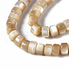 Natural Trochid Shell/Trochus Shell Beads Strands SSHEL-S266-016B-02-3