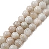 Natural Rainbow Moonstone Beads Strands G-N328-024-10mm-AB-1