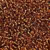 12/0 Glass Seed Beads X-SEED-A005-2mm-22C-3