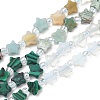 6 Styles Opalite & Synthetic Malachite & Natural Lemon Jade & HuBei Turquoise & Flower Amazonite & Rhodonite Beads Strands G-D095-A05-2