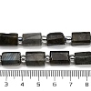 Natural Labradorite Beads Strands G-G162-D13-01-5