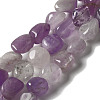 Natural Amethyst Beads Strands G-B078-D12-01-1