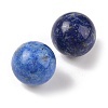 Natural Lapis Lazuli No Hole Sphere Beads G-K353-04D-10-2