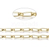 Iron Paperclip Chains CH-H100-03G-3
