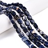 Natural Sodalite Beads Strands G-T138-107-1