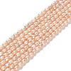 Natural Cultured Freshwater Pearl Beads Strands PEAR-E016-147-1