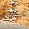 Preciosa® MAXIMA Crystal Round Stones Y-PRC-RASS47-50730-3