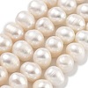 Natural Cultured Freshwater Pearl Beads Strands PEAR-C003-19C-2