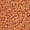 Glass Seed Beads SEED-A012-3mm-130-2