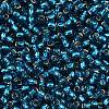 TOHO 8/0 Round Beads X-SEED-TR08-0023BD-2