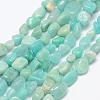 Natural Amazonite Beads Strands G-F521-25-1