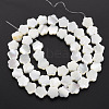 Natural Trochid Shell/Trochus Shell Beads Strands SSHEL-T014-43B-02-3