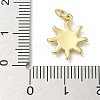 Rack Plating Brass Enamel Charms KK-K392-50G-04-3